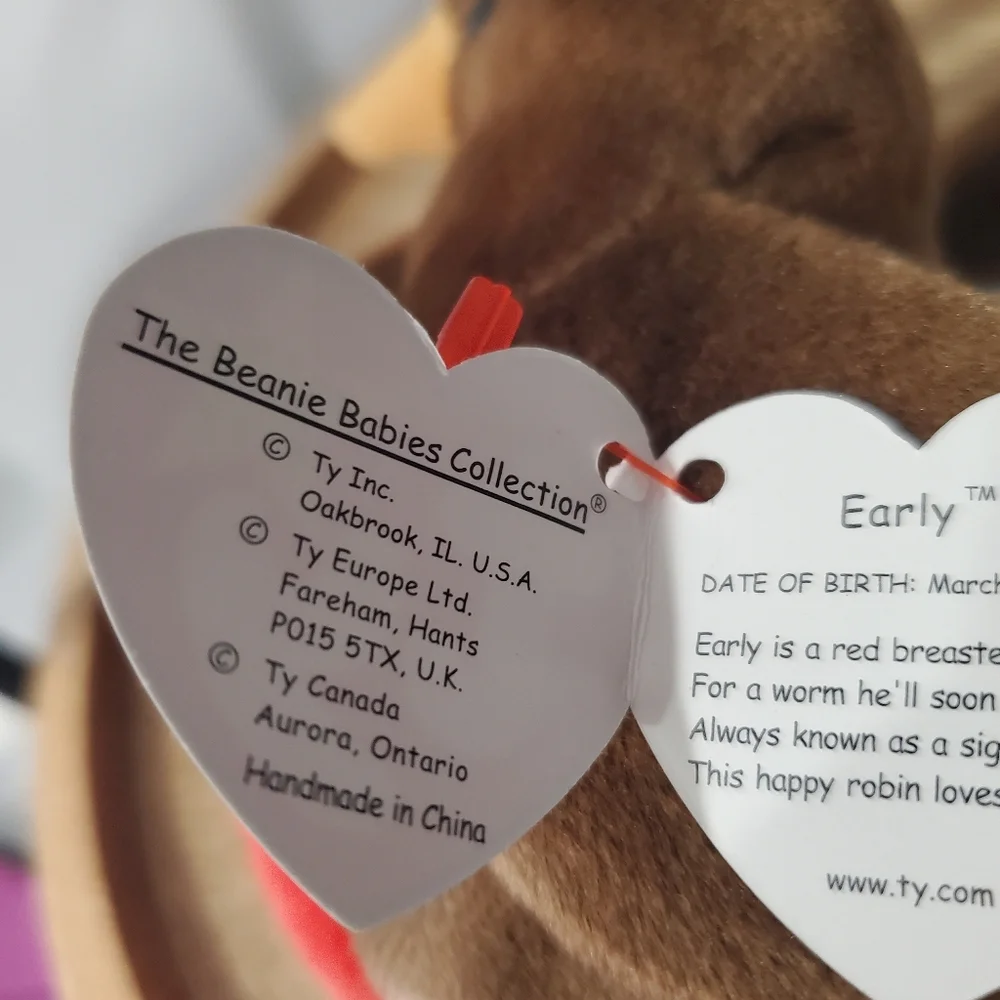 TY EARLY THE ROBIN BIRD BEANIE BABY RETIRED 1997 /ERROR